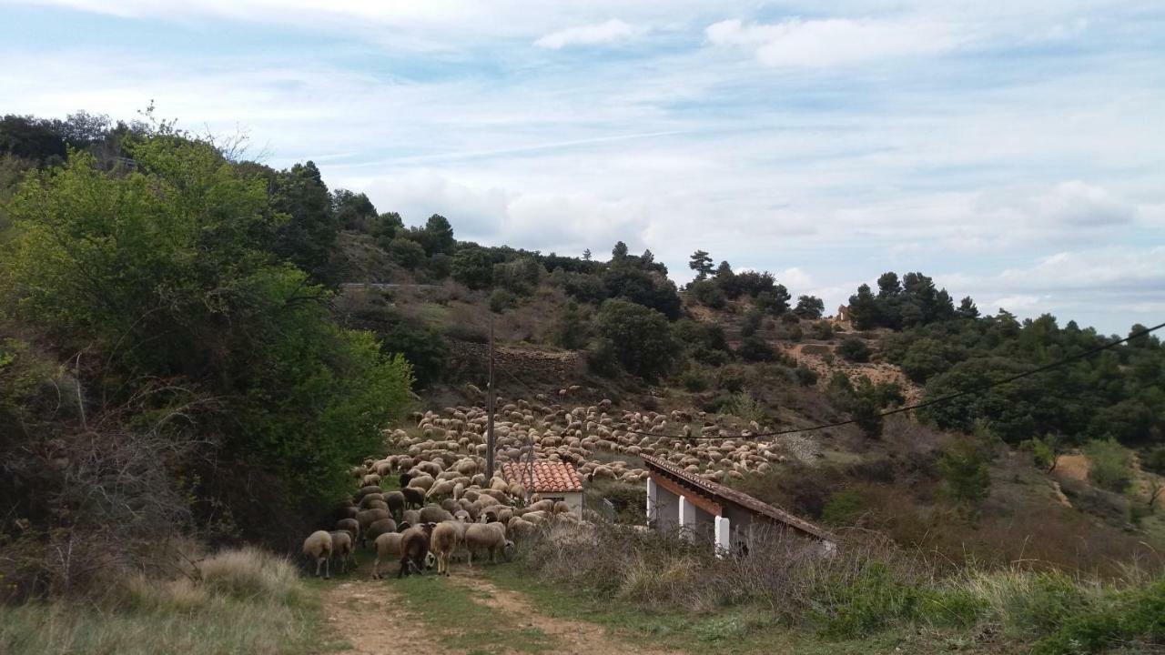 Casa Rita Villa Morella Eksteriør bilde
