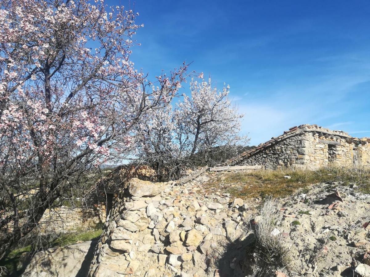 Casa Rita Villa Morella Eksteriør bilde